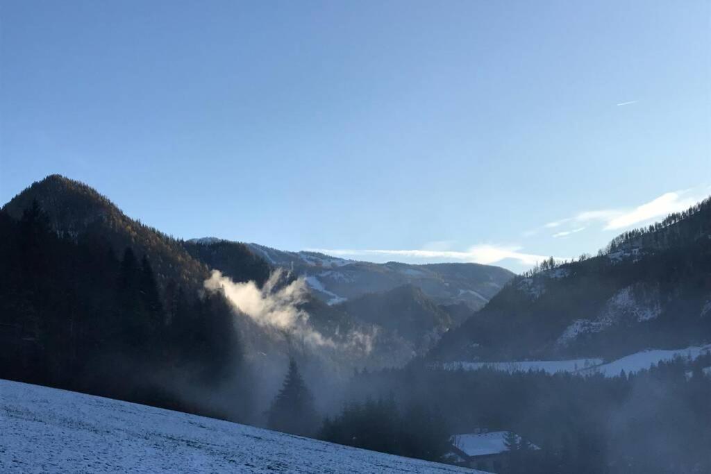 Bergchalet Hinterstoder Dış mekan fotoğraf